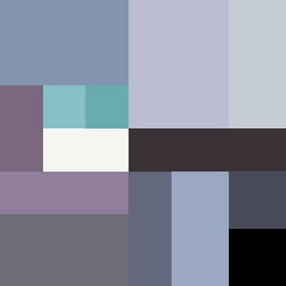 Overview image: WOOD PIGEON